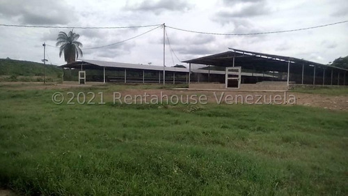 Imagen 2 de 14 de Venta De Granja Avicola En El Zulia Para Inversionistas
