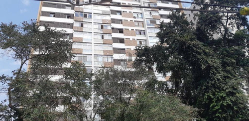Imagem 22 de 23 de Apartamento Cambuí ( Lindo Repaginado / P/ Renda - Locado) - Campinas Sp. - Ap19252