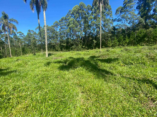 Imagem 5 de 7 de L40- Terreno Na Promoção