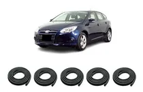 Comprar Focus 5p 2013\u002F2014 Burletes Puertas Delanteras Traseras Baul