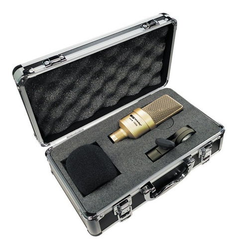 Microfono Profesional De Estudio Vocal Wes 1000 C/accesorios