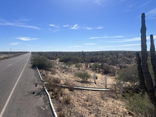 Km 43, El Mezquite De Don Dominguez