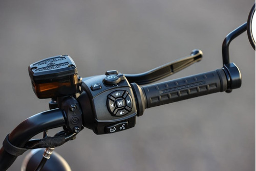 Imagen 19 de 23 de Harley - Davidson Nueva Sportster S 1250 2022 0km