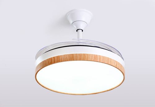 Ventilador De Techo Star Trak Madera Bambú Retractil Cantidad De Aspas 4 Aspas Transparente Diámetro 110 Cm. Material De Las Aspas Acrlico