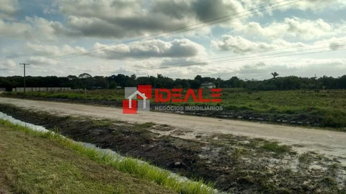 Imagem 5 de 7 de Área - Terrenos Para Empreendimento Frente Para Rodovia - 661