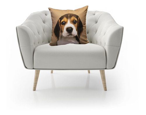 Imagen 5 de 5 de Cojín Decorativo Perrito Café 40 Cm
