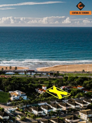 Imagem 4 de 5 de Terreno Em Patamares - Te00444 - 69487618