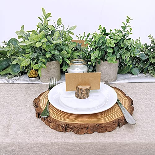 Conjunto De 2 Plantas En Macetas Artificiales De Eucalipto Y