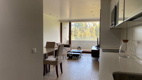 Idahue, Amplio Departamento De 1 Dormitorio