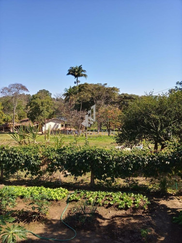 Imagem 1 de 6 de Chácara À Venda Em Iate Clube De Campinas - Ch005051