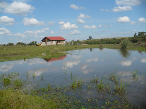 Vendo Campo 17 Ha, Paso Villeiras, Chamame, Lavalleja  U$s  6500 La Ha.