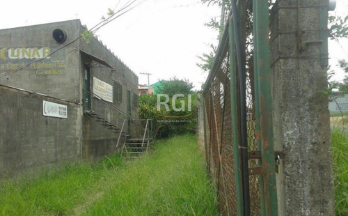 Terreno Em Bela Vista - El50874348