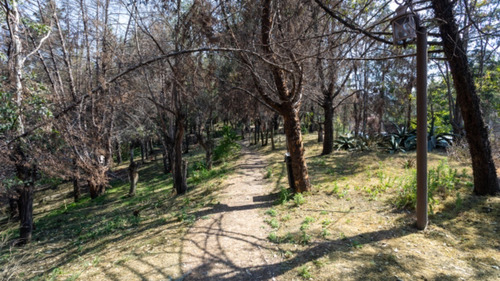 Imagen 29 de 30 de Casa En Renta En Bosques De La Herradura
