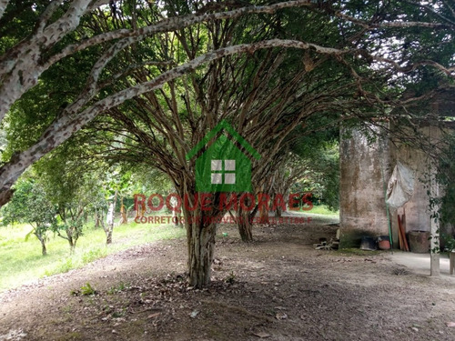 Imagem 19 de 27 de Sítio Medindo 35.000 M² No Vale Do Ribeira Sp Ref.: 0872