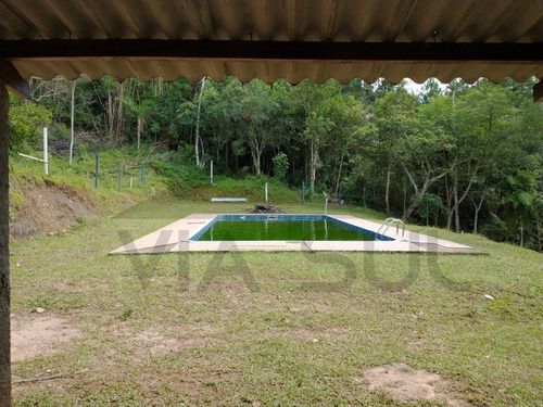 Imagem 5 de 30 de Sítio De 3,5 Alqueires, Excelente Localização! Com Área Aberta Para Criação Recreativa E Mata Nativa Para Trilha E Caminhada.. - 237 - 69821549