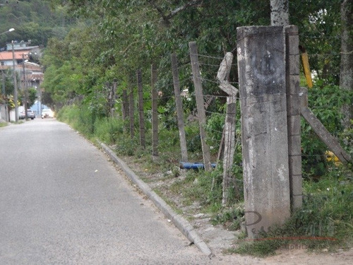 Imagem 2 de 10 de Excelente Terreno Na Cachoeira Do Bom Jesus Com Viabilidade Para Loteamento E Condomínio - V-3037
