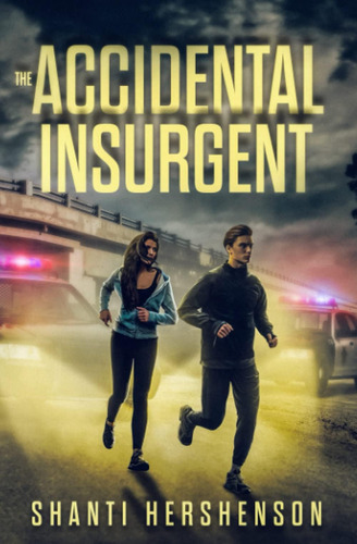 Libro:  The Accidental Insurgent