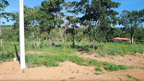 Imagem 11 de 15 de Lotes Em Condominio - Zona Rural - Ref: 616 - V-616