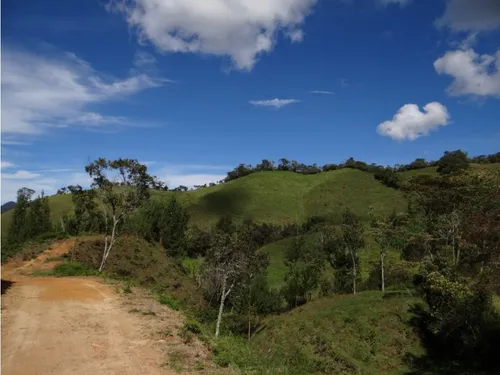 Finca En Venta La Unión Via Abejorral Antioquia. 83 Hectareas
