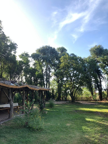 Imagen 7 de 12 de Salón Quincho P/pasar El Día Eventos Y Cumpleaños Familiares