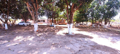 Imagem 4 de 10 de Vendo Ou Troco Chácara Por Casa Brasília Df