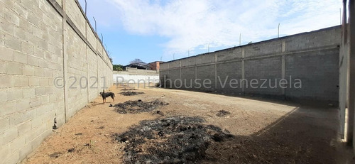 Imagen 19 de 28 de Daniela Linarez 04245390659 Galpon En Venta Yaritagua 22-14018