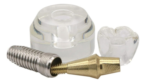 Modelo Dental Para Implantes - Estudio Y Enseñanza #2020 01