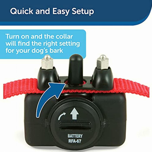 Petsafe Basic Bark Control Collar