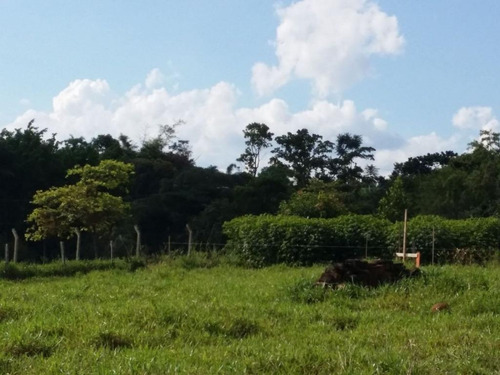 Imagem 10 de 13 de Chácara À Venda, 2172 M² Por R$ 253.255,20 - Morada Do Sol - Cosmópolis/sp - Ch0002