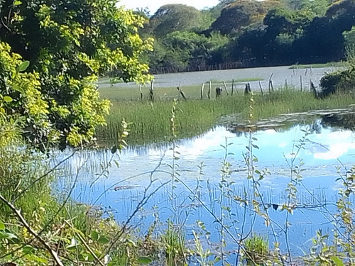 Sitio Beira Rio