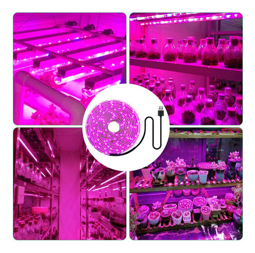 2 Tiras De Luces Led Para Cultivo, De Espectro Completo, 5 V
