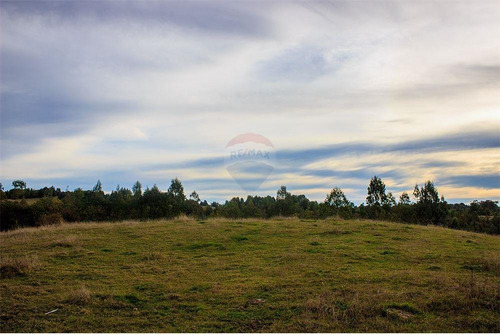Imagen 29 de 30 de Parcela De Agrado En Chiloé