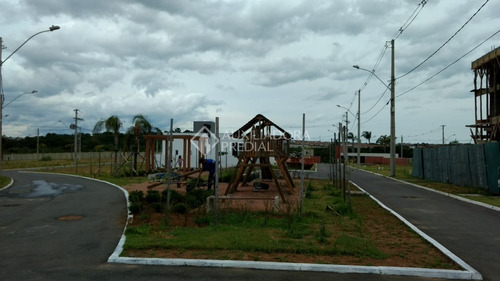 Imagem 5 de 15 de Terreno Em Condominio - Mario Quintana - Ref: 231870 - V-231870