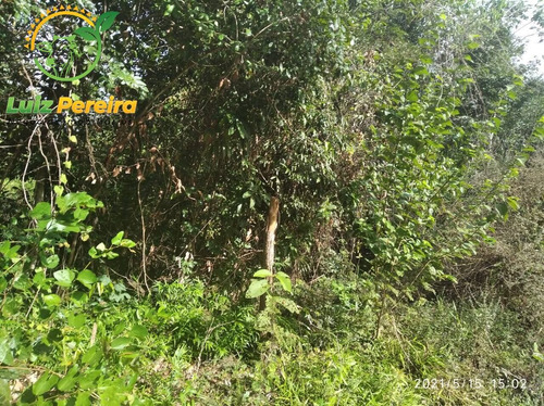 Imagem 5 de 15 de Fazenda À Venda Em Centen Ário - To -de 457 Alqueirões (dupla Aptidão) - 1737