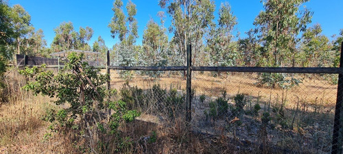 Parcela Plana 5 Mil M2 Camino A Tunquén Para Uso Comercial