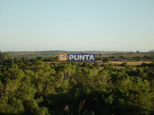 Imagen 10 de 30 de Campo Turistico Cerca De Punta Del Este