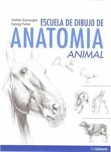 Escuela De Dibujo De Anatomia Animal