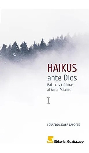 Haikus Ante Dios I