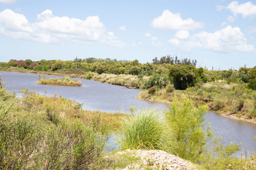 Venta Campo 20 Has