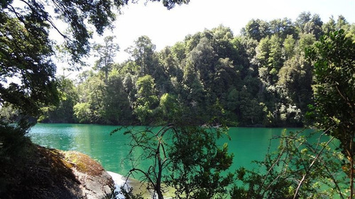 Imagen 9 de 30 de Sitio En Venta En Puyehue