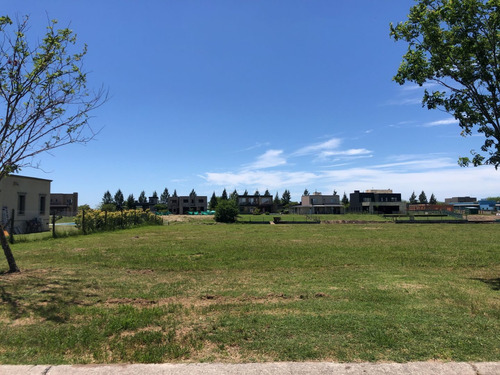 Imagen 7 de 11 de Exclusivo! Lote A La Laguna En La Isla Del Área 1 San Matias