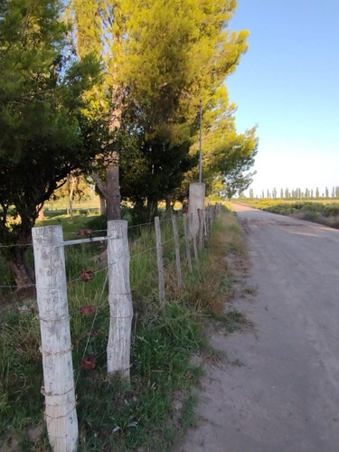 Imagen 3 de 13 de Vendo Finca San Rafael Goudge