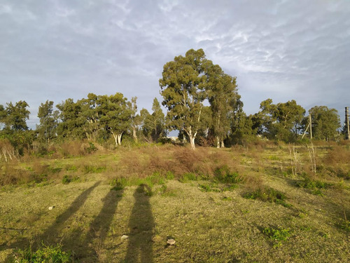Terreno - Villa La Ñata