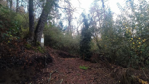 Imagen 11 de 13 de Susana Aravena Propiedades Terreno - San Martin De Los Andes