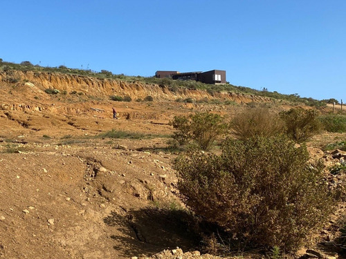Los Molles / Los Pinos / Los Vilos