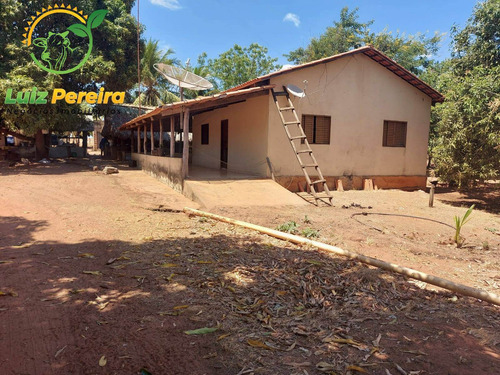 Imagem 11 de 14 de Fazenda À Venda Em Tupiratins - To -n 1.728 Hectares (dupla Aptidão) - 2058