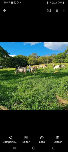 Fazenda Com Ótima Localização