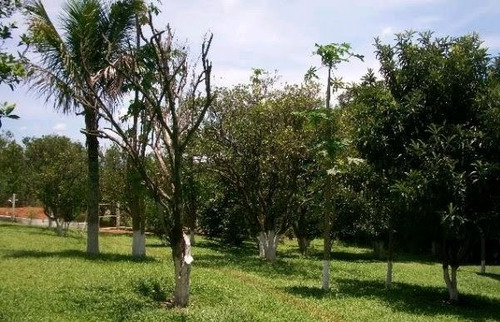 Imagem 1 de 8 de Chácara Para Venda - 9661