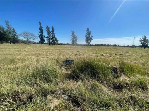 Terreno 20x50. Limpio, Con Luz Y Agua. A 50 Mt De Ruta 16