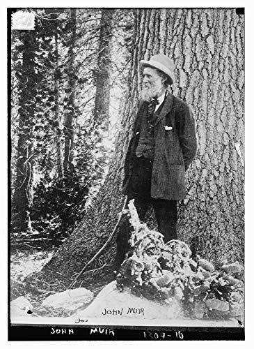 Retrato De John Muir Conservacionista Photo Print De Haluro 